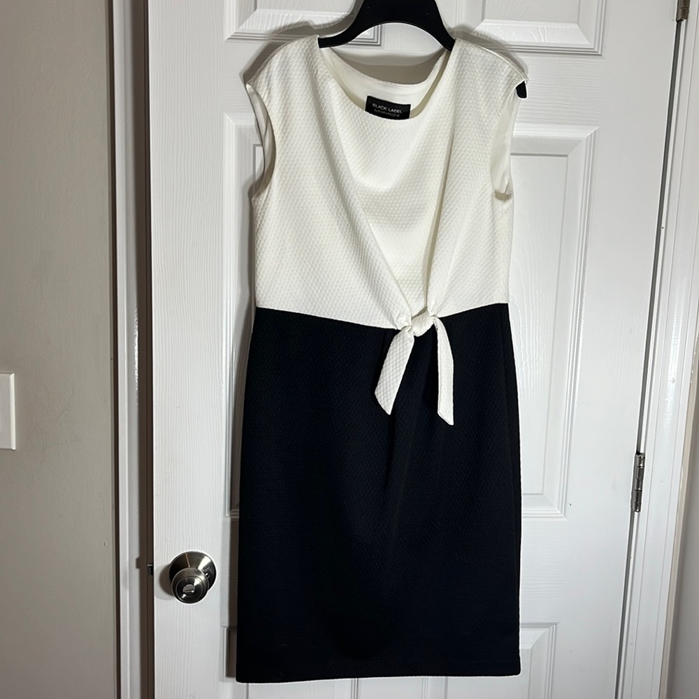 Like-New; Semi-Dressy, Dress; Black Label by Evan-Picone